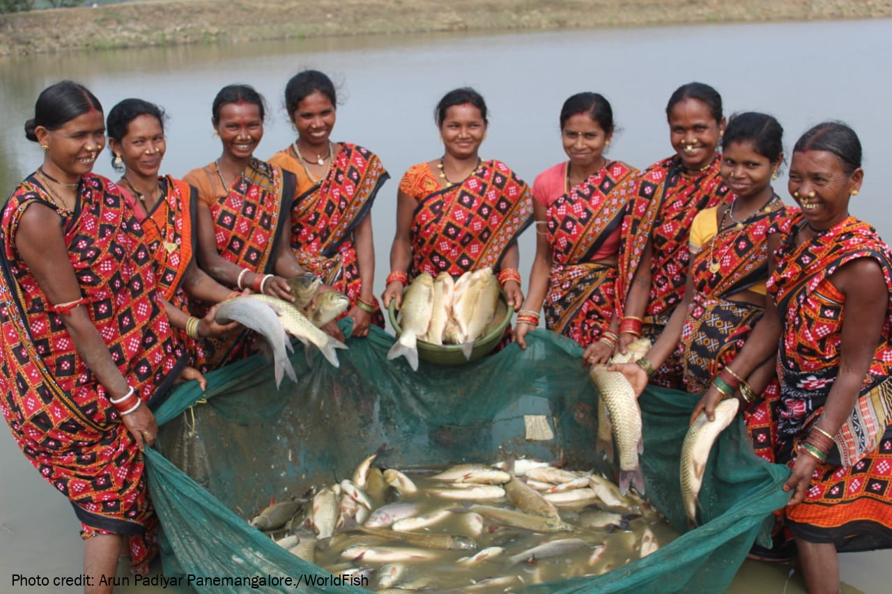 The adoption of Aquaculture Best Management Practices by fisherwomen is  contributing to livelihoods and nutrition improvements for nearly 200,000  people in Odisha, India