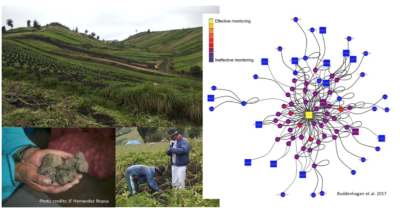 Capsule network-based approach for estimating grassland coverage