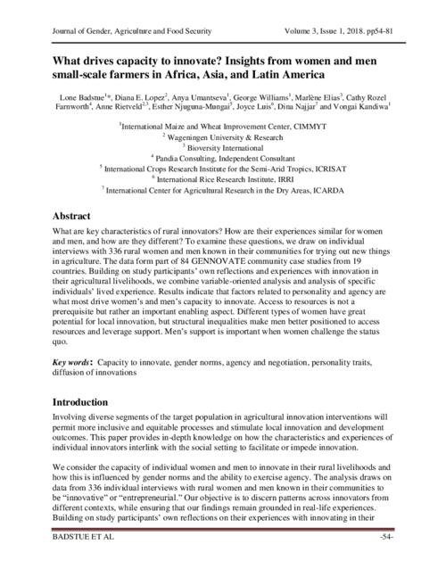 What Drives Capacity To Innovate Insights From Women And Men