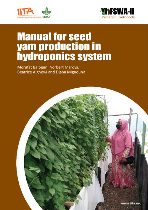 Seed Yam Production in Hydroponics System Manula - YIIFSWA Project