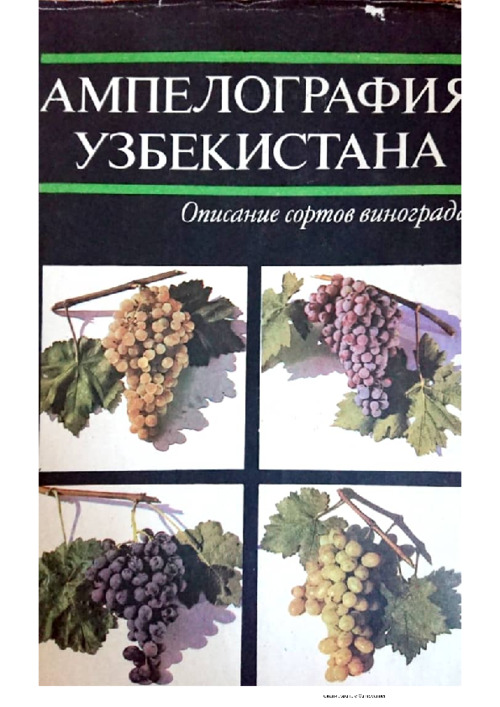 Ампелография Узбекистана. Описание сортов винограда.