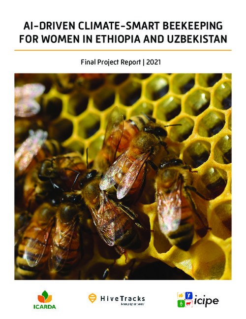AI-Driven Climate-Smart Beekeeping for Women | 2021 Project Report