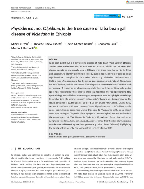 Physoderma, not Olpidium, is the true cause of faba bean gall disease ...